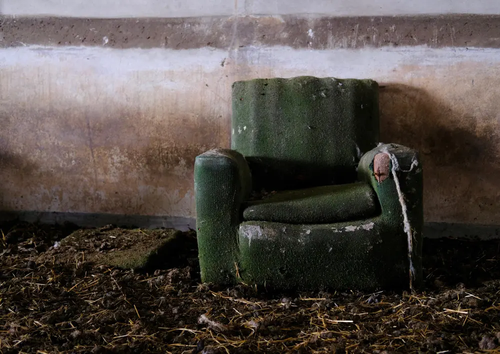 Junk Removal Service